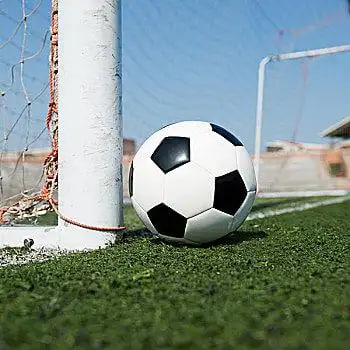 天天盈球社区功能